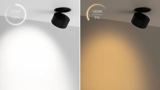 BARON 95 — encastré de plafond BOlight, visuel 7
