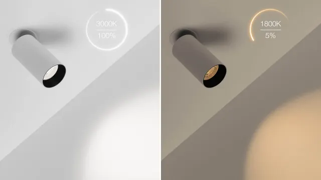 LOCUS 52 — encastré de plafond BOlight, visuel 4