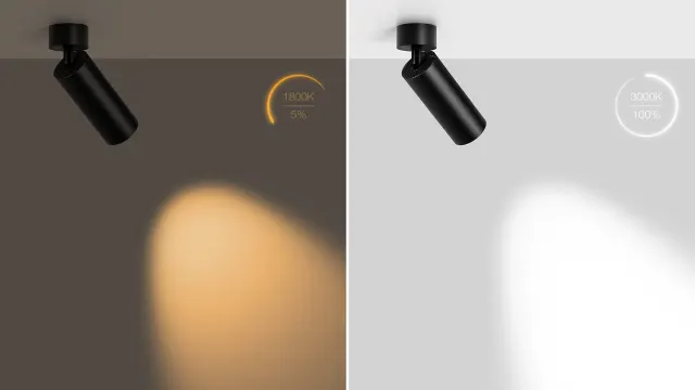 MOORE 52 — plafonnier en saillie BOlight, visuel 7